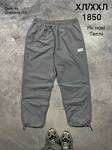 Nike спортивні штани сірі - grey, розмір XL - фото 1