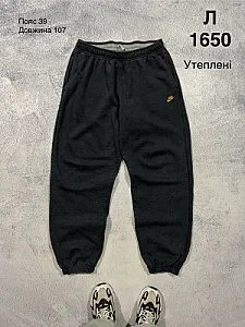 Nike утеплені спортивні штани чорні - розмір L - фото 1