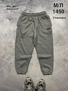 Lonsdale утеплені спортивні штани сірі - розмір M - фото 1