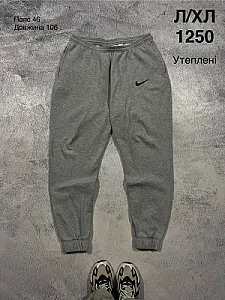 Nike утеплені спортивні штани сірі - розмір L - фото 1