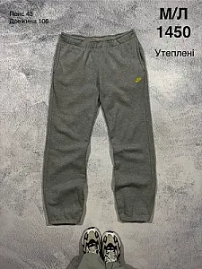 Nike спортивні штани утеплені сірі - розмір M - фото 1